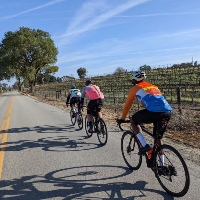 San Luis Obispo Randonneurs Inc. cycling in California s Middle